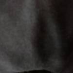 Tuấn Lê Profile Picture