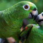 Đức Tài Profile Picture