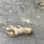 Nam Duy nam Profile Picture