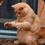 Cctu12341 Profile Picture