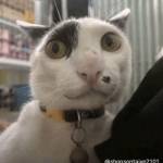 Diti345 Profile Picture