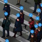 Tran Quan Profile Picture