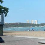 Tâm Nguyễn Profile Picture