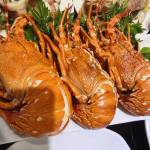 Tí Hú Profile Picture