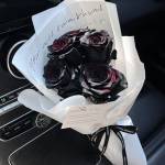 Tú Văn Profile Picture