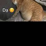 nghia huu Profile Picture