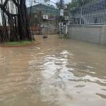 Thành Đức Profile Picture