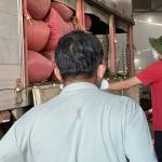 tiến lưu Profile Picture