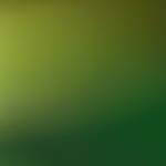 Tùng Nguyễn văn Profile Picture