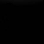 Lông Tran Profile Picture