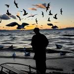 Minh Đoàn Profile Picture