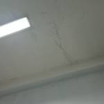 Quyền Nguyễn Profile Picture