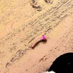 Nguyễn Nguyên Profile Picture