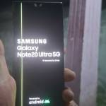 Lâm Nguyễn Profile Picture