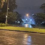 kindy Lee Profile Picture