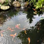 nam long Profile Picture