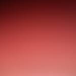 Thanh Long Profile Picture