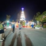 an bui Profile Picture