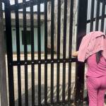 ADam Dam Profile Picture