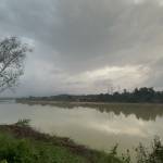 Phongtran88 Profile Picture