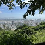 Nam Vũ Profile Picture