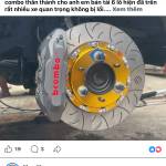 Nam Tran Profile Picture