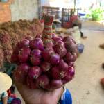 Cc Uu Profile Picture