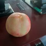 Tu Dang Profile Picture