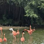 thanh phong Profile Picture