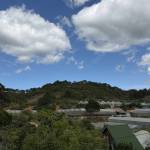 Hitler Adolf Profile Picture