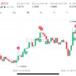 Galio Profile Picture