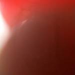 Phong Hồ Profile Picture