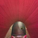 Hoang Tuan Profile Picture