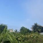 Vuanh061998 Profile Picture