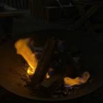 Nhatdzok0 Profile Picture