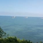 Anh Phan Profile Picture