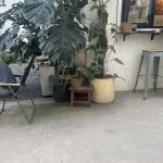 Lâm Profile Picture