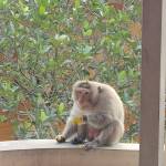 long Lê nguyễn hoàng Profile Picture