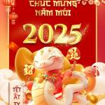 Hiếu NGUYỄN MINH Profile Picture