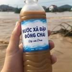 Van the Nguyen Profile Picture