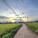 Chang Vân Profile Picture