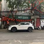 Zai Anh Profile Picture