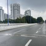 Nhat Luoi Profile Picture