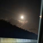 Phương Ngọc Profile Picture