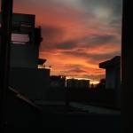 Duy Tuan Profile Picture