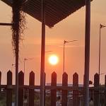 Zztru Profile Picture