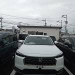 Tran Con Profile Picture