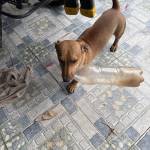 pepumpk1 Profile Picture