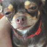 baogffga Profile Picture