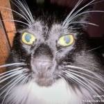 minh hiếu Profile Picture